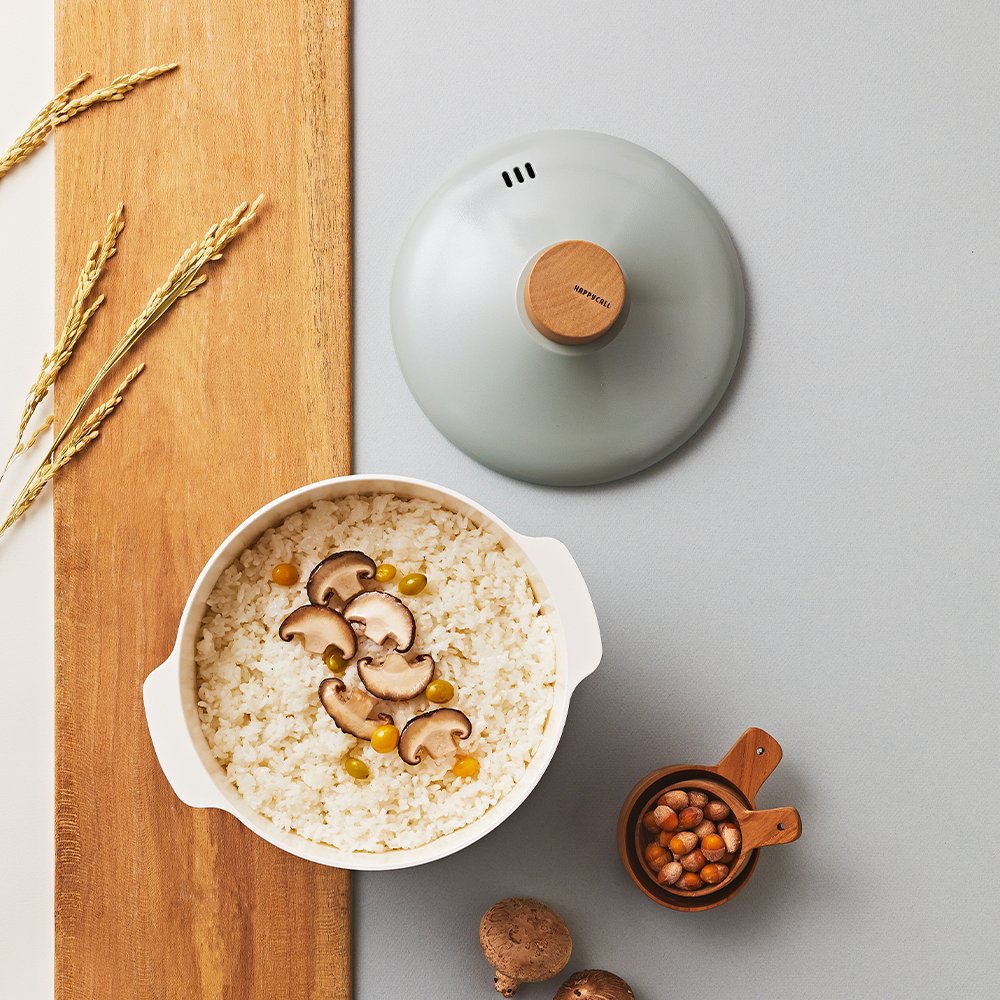 Happycall IH Zium Ceramic Pot - 20cm